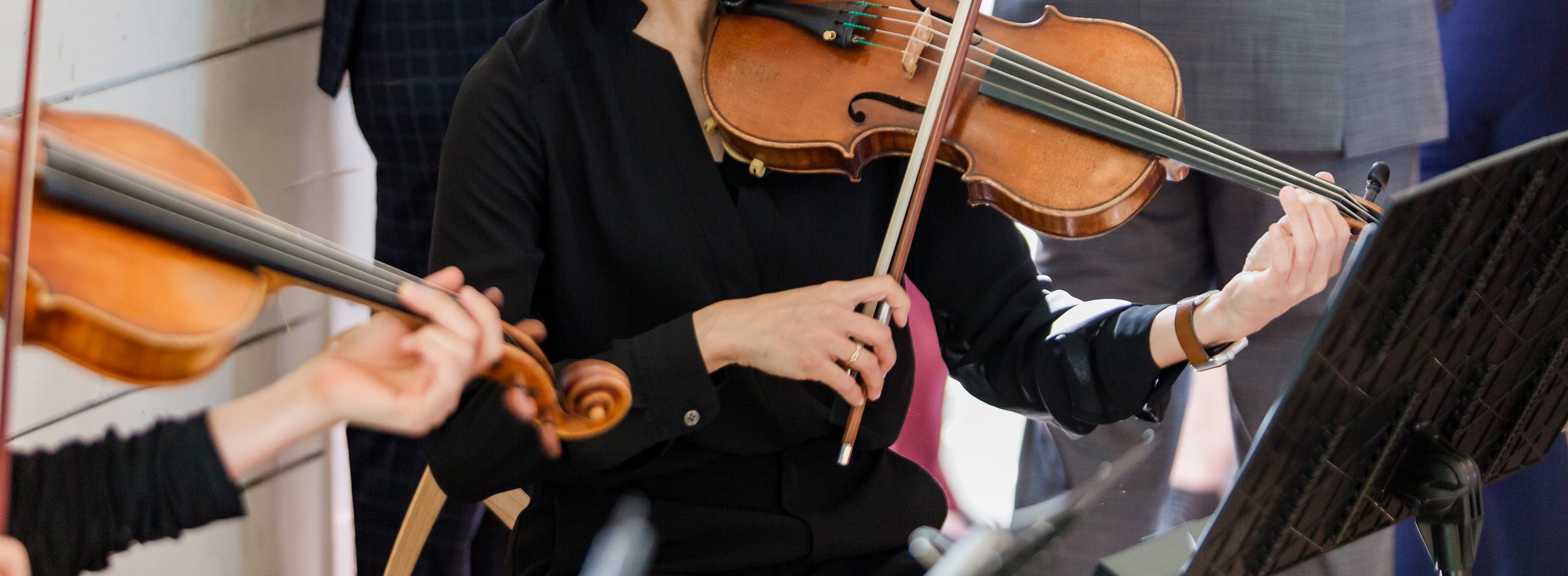 A violinist of The Noble Strings performing live
